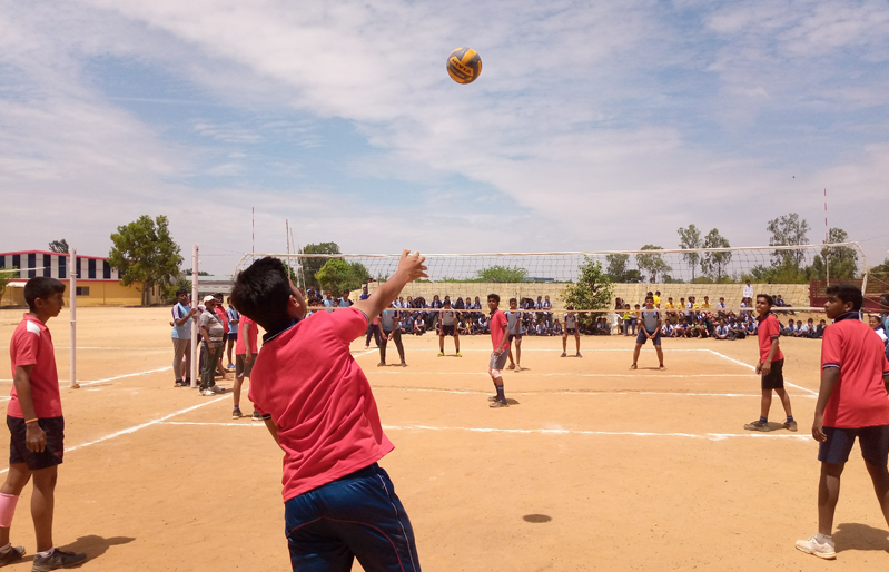 Volley Ball